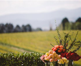 Squitchy Lane Vineyard - Winery Find 1