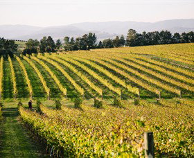 Squitchy Lane Vineyard - Winery Find 3