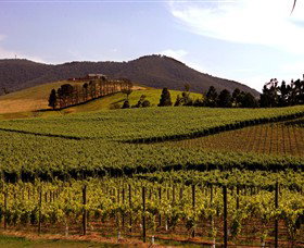 Soumah Of Yarra Valley - Winery Find 0