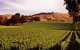 Soumah Of Yarra Valley - thumb 3