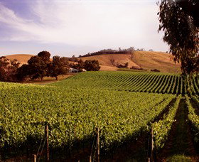 Soumah Of Yarra Valley - Winery Find 3
