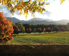 Boyntons Feathertop Winery - Winery Find 3