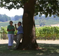 Five Oaks Vineyard - Winery Find