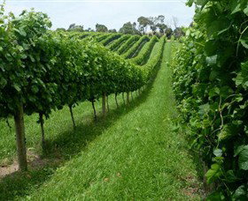 Rosebud VIC Winery Find