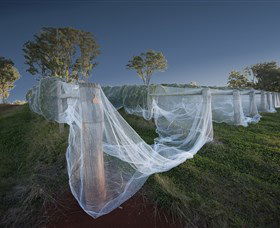 Old Mill ACT Winery Find