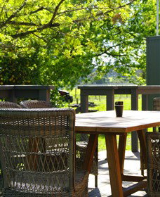 Trofeo Estate - Winery Find 4