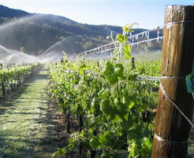 Tawonga South VIC Winery Find