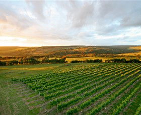 Nazaaray - Winery Find 0