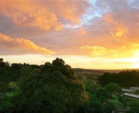 Nazaaray - Winery Find 2