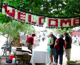 Nazaaray - Winery Find 4