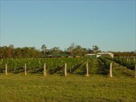 Kingaroy QLD Winery Find