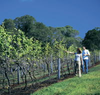 South Burnett Wine Trail - Winery Find