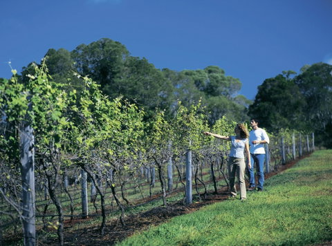 South Burnett Wine Trail - Winery Find 0