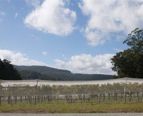 Vesper VIC Winery Find