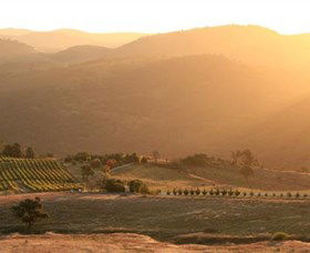 Evatt ACT Winery Find