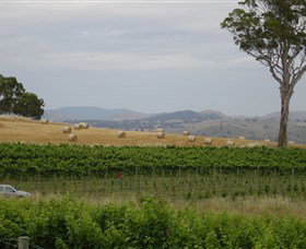 Pankhurst Wines - Winery Find 2