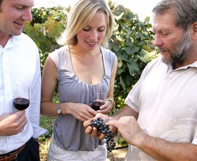 Pankhurst Wines - Winery Find 3