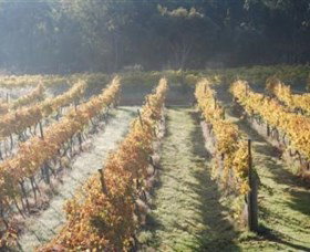 Twisted Gum Wines - Winery Find 1
