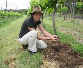 Twisted Gum Wines - Winery Find 2