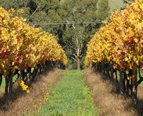 Warragul VIC Winery Find