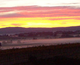 Bungendore NSW Winery Find