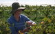 Kingsdale Wines - thumb 1