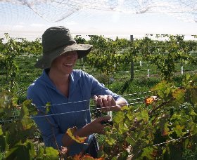 Kingsdale Wines - Winery Find 1