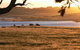 Kingsdale Wines - thumb 2