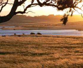 Kingsdale Wines - Winery Find 2