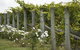 Lambert Vineyards Cellar Door - thumb 2
