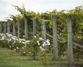 Lambert Vineyards Cellar Door - Winery Find 2