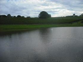 Vintners Secret Vineyard, Cellar Door And Cafe - Winery Find 0