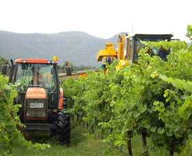 Stomp Wines - Winery Find 8