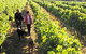 Darlington Estate Winery And Restaurant - thumb 0