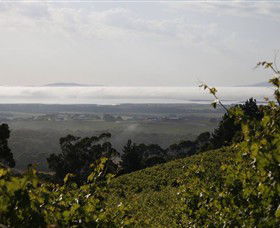 Windy Ridge Vineyard And Winery - Winery Find 0