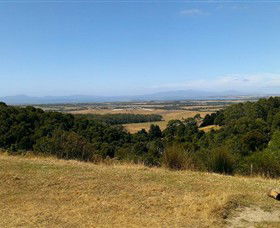 Windy Ridge Vineyard And Winery - Winery Find 2