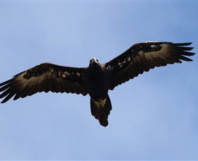 Windy Ridge Vineyard And Winery - Winery Find 6