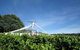Waratah Hills Vineyard - thumb 1