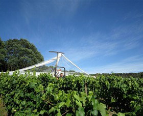 Waratah Hills Vineyard - Winery Find 1