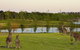 Hunter Valley Gardens - thumb 5
