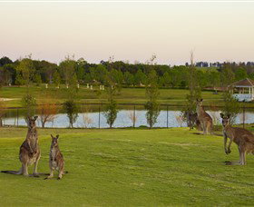 Hunter Valley Gardens - Winery Find 5