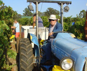 Pokolbin Brothers Wines Hunter Valley - Winery Find 0