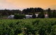 St Maur Wines - thumb 0