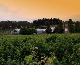 St Maur Wines - Winery Find 0