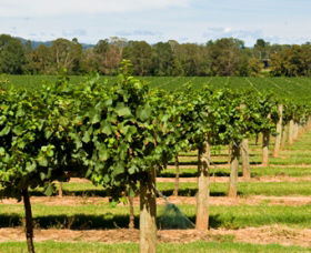 Ellis Lane NSW Winery Find
