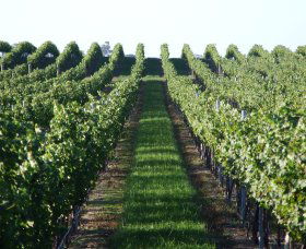 Southern Highland Wines - Winery Find 1