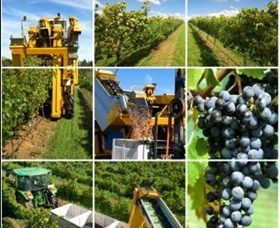 Southern Highland Wines - Winery Find 2