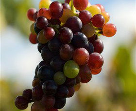 Southern Highland Wines - Winery Find 3