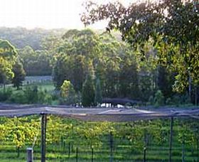Nowra NSW Winery Find