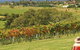 Crooked River Winery - thumb 1